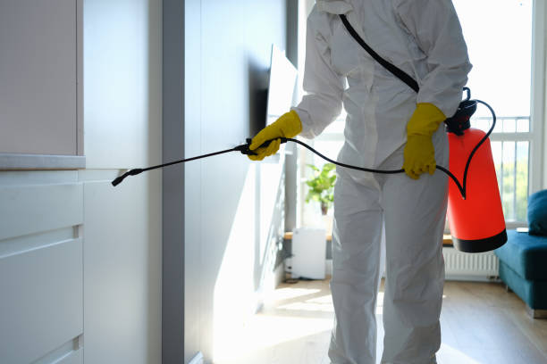 Best Biohazard Mold Removal  in Davie, FL
